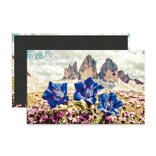 120 M 2009 - Tre Cime di Lavaredo (Drei Zinnen)