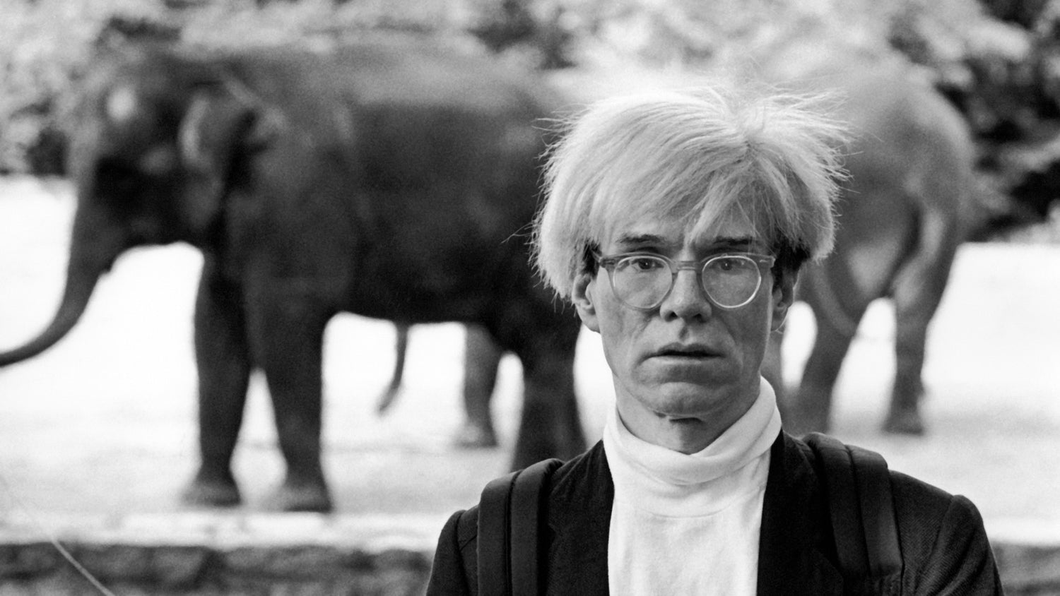 ANDY WARHOL - Paparazzo Superstar - Palazzo Sarcinelli - Conegliano, Treviso