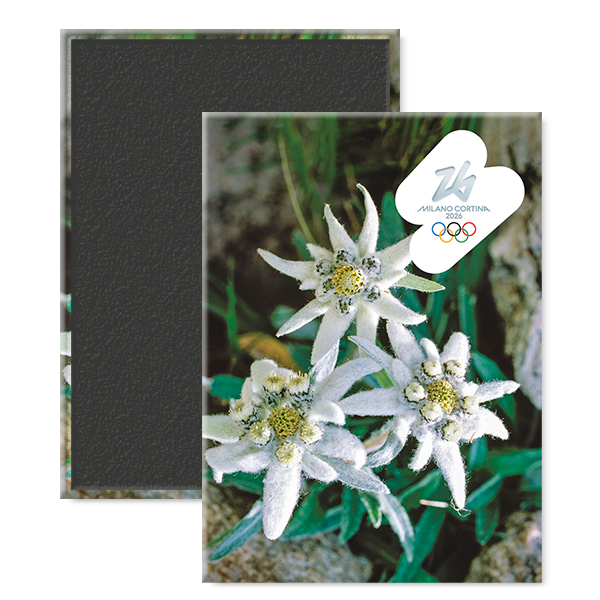 Stella Alpina - Magnete Giochi Olimpici Invernali