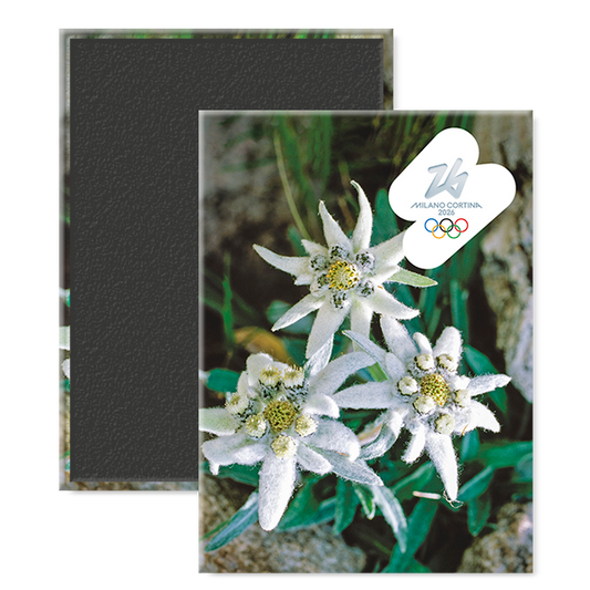 Stella Alpina - Magnete Giochi Olimpici Invernali