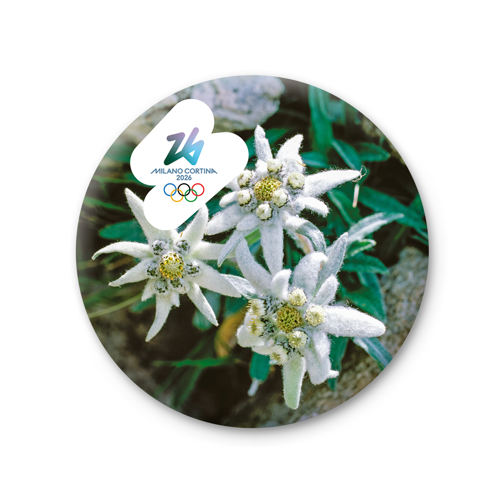 Stella Alpina - Magnete Giochi Olimpici Invernali