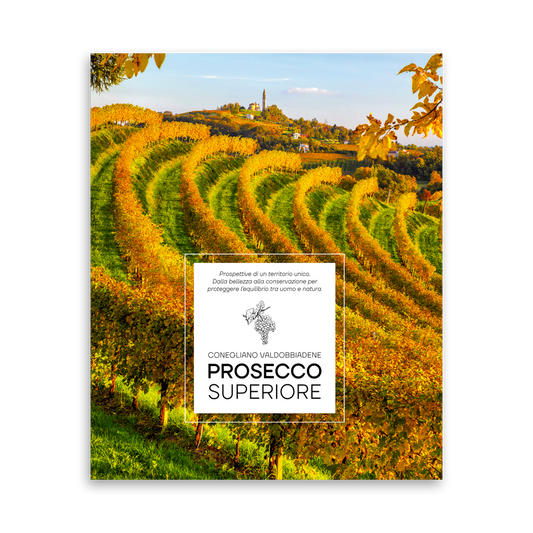 Prosecco Superiore