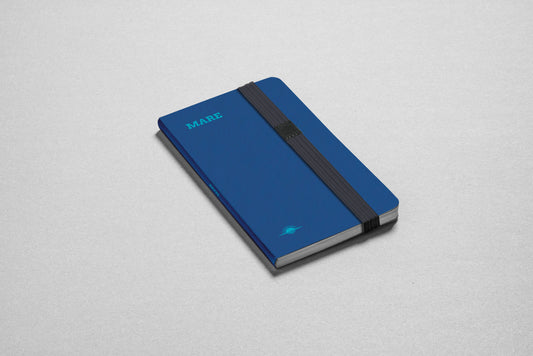 Somewhere Beyond The Sea