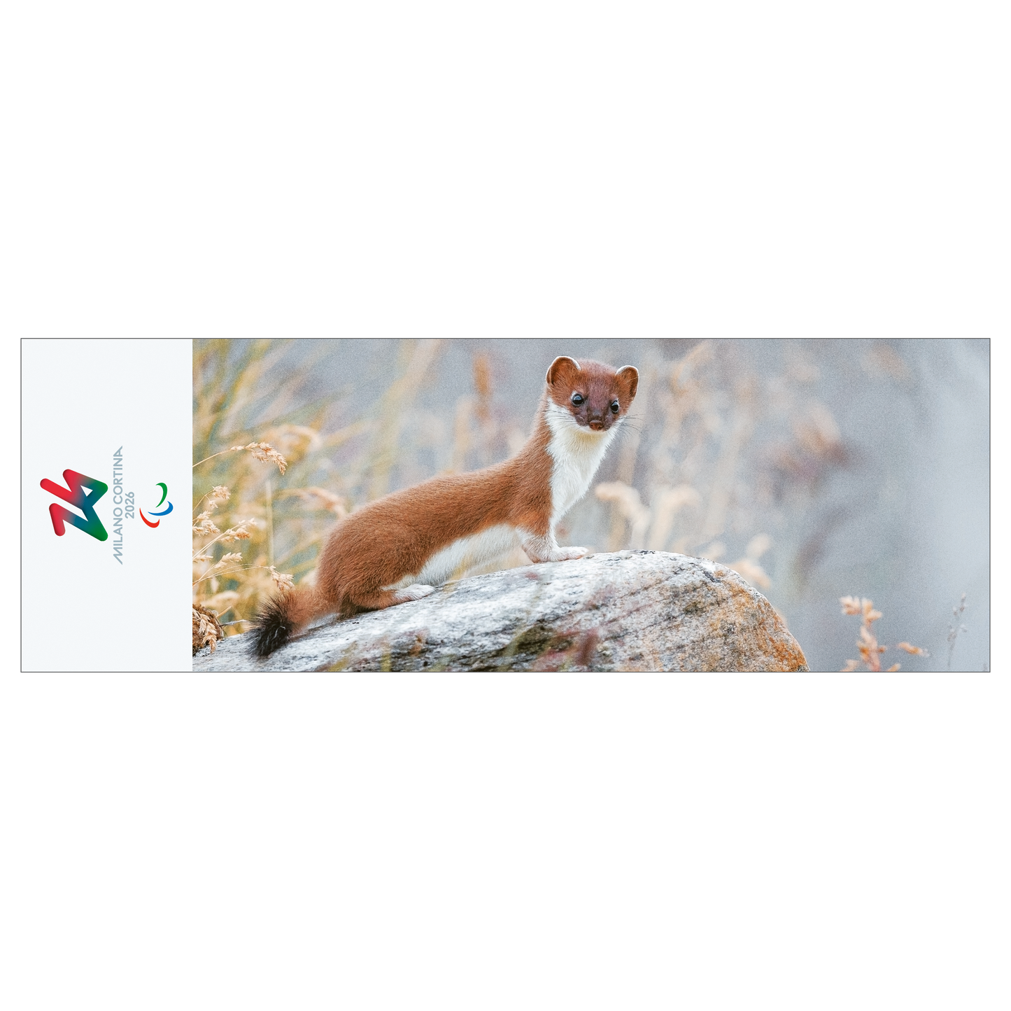 Ermellino - Segnalibro Giochi Paralimpici Invernali