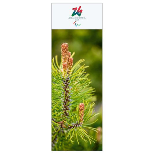 Pino Mugo - Segnalibro Giochi Paralimpici Invernali