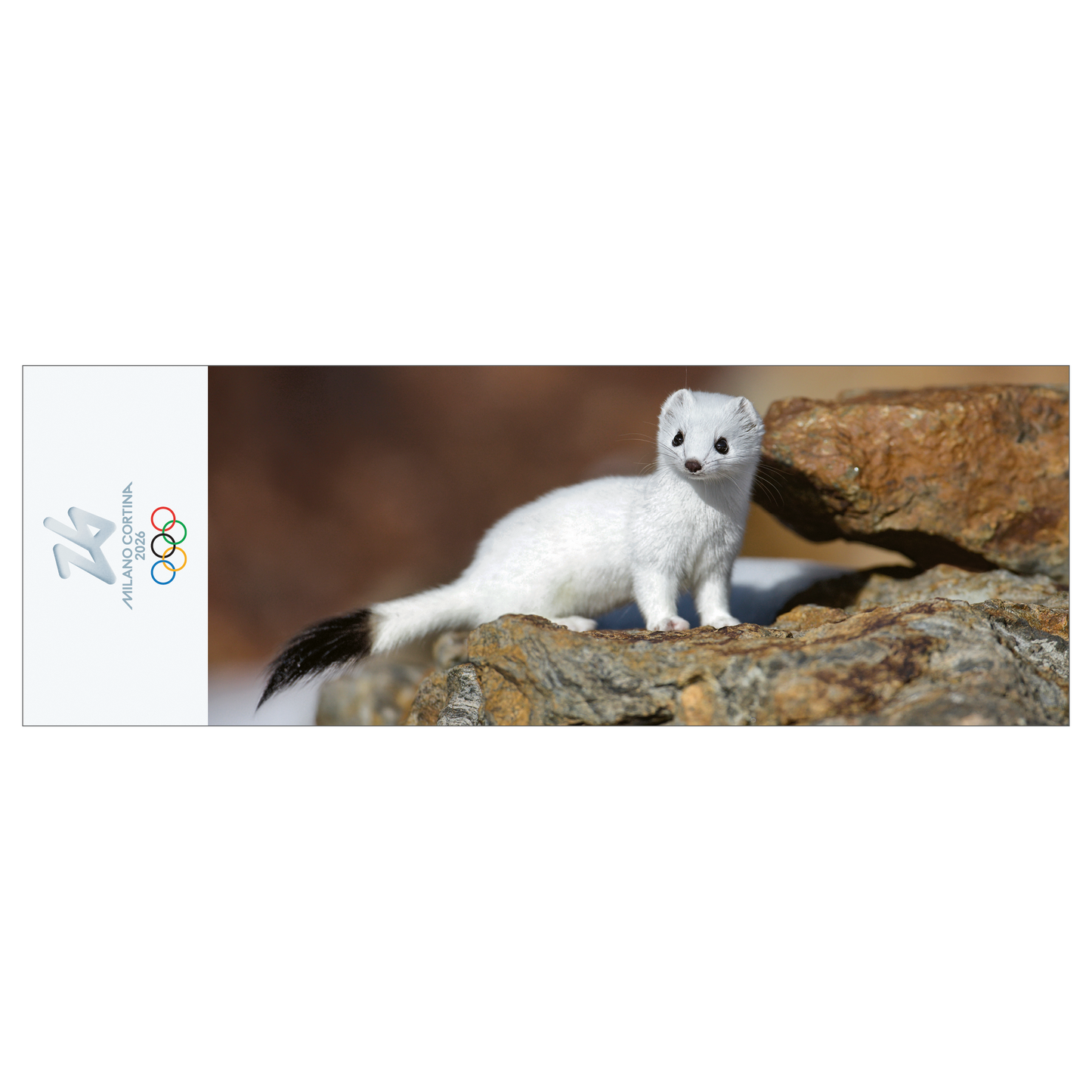 Ermellino bianco - Segnalibro Giochi Olimpici Invernali