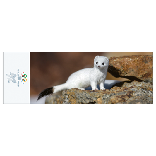 Ermellino bianco - Segnalibro Giochi Olimpici Invernali