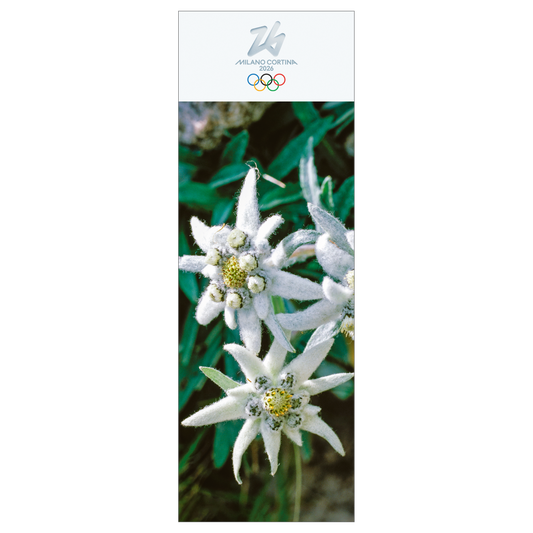 Stella Alpina - Segnalibro Giochi Olimpici Invernali