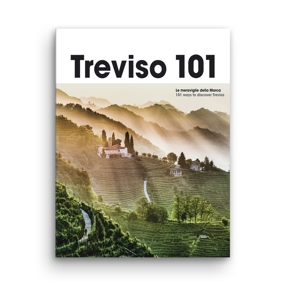 Treviso 101