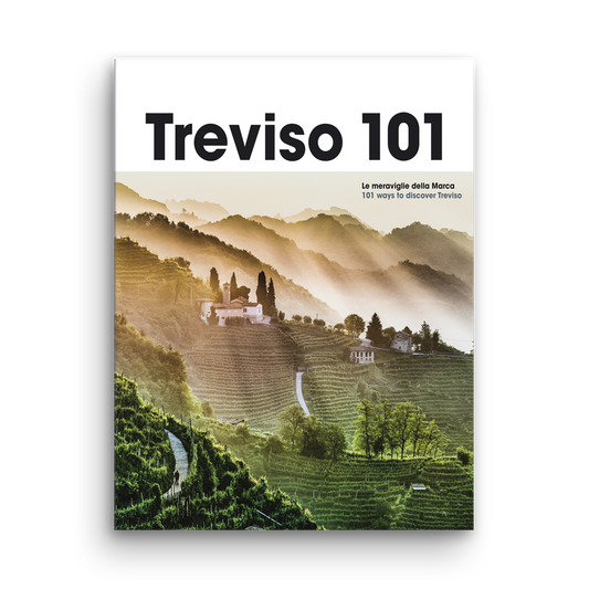 Treviso 101