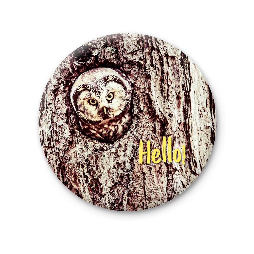 75 MT 023 - Hello!