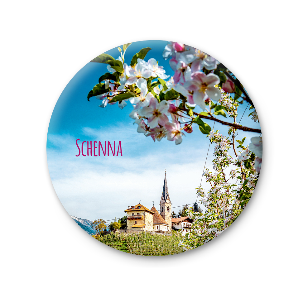 75 MT 270 - Schenna
