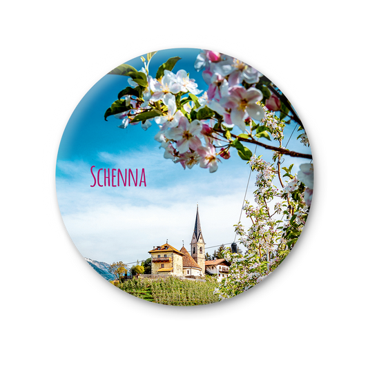 75 MT 270 - Schenna