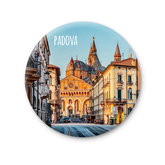76 MT 341 - Padova