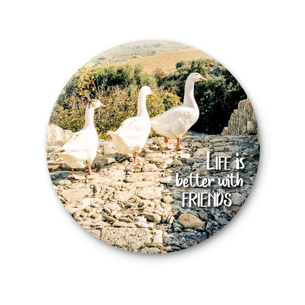 76 MT 004 - Life is better with Friends