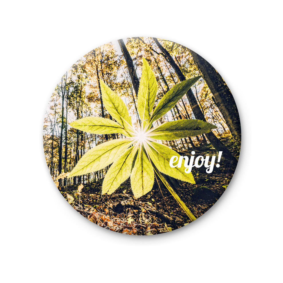 76 MT 015 - Enjoy!