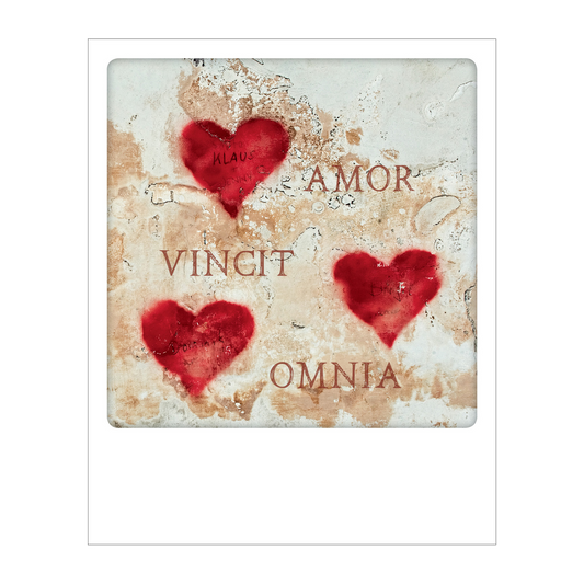 Amor Vincit Omnia - PL 024