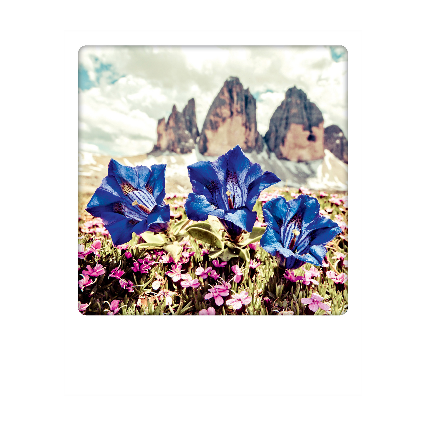 Dolomiti - Polaroid Postcard | Gadget Simebooks