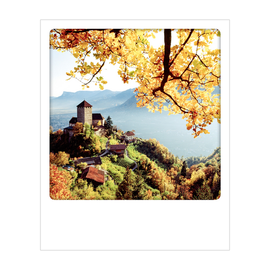 Dolomiti - Polaroid Postcard | Gadget Simebooks