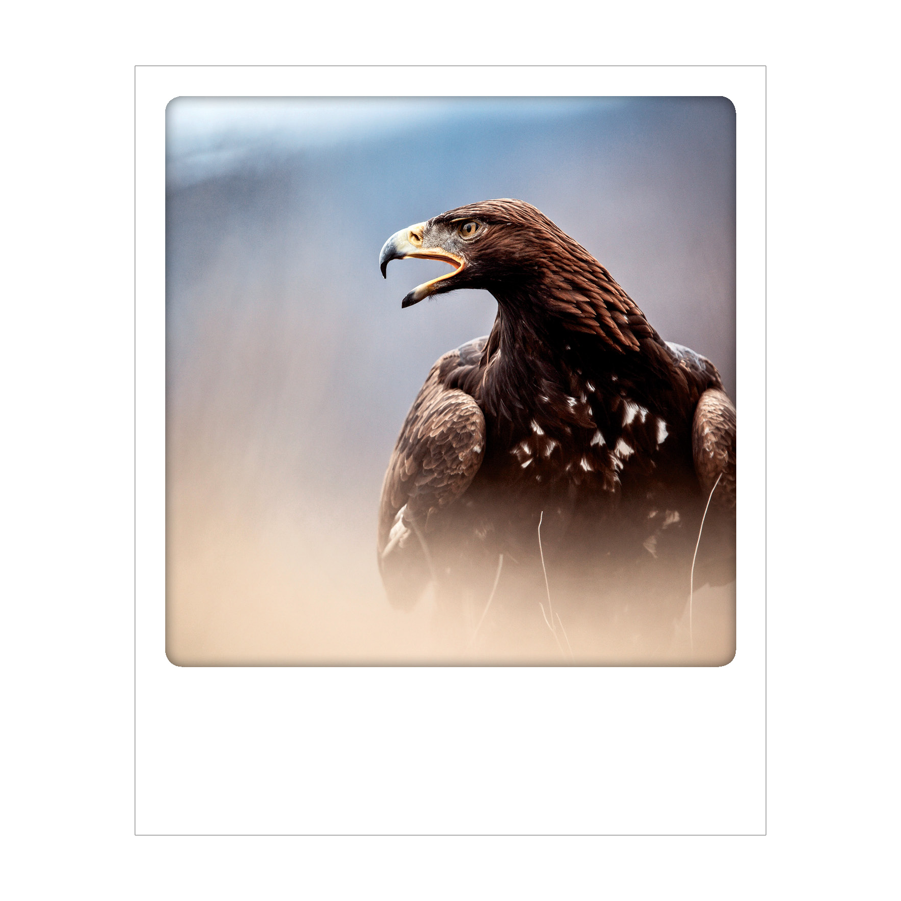 Dolomiti - Polaroid Postcard | Gadget Simebooks