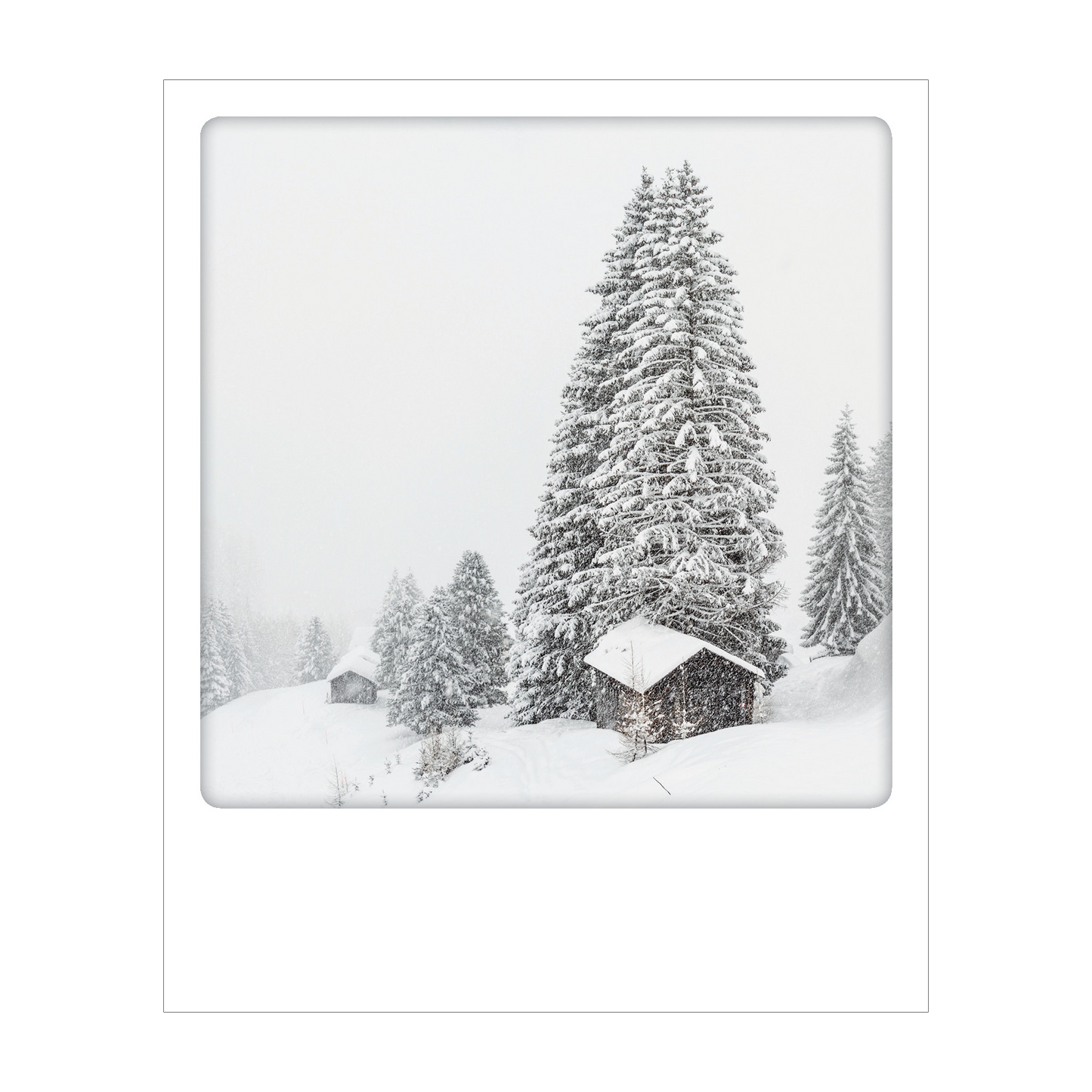 Dolomiti - Polaroid Postcard | Gadget Simebooks