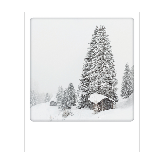 Dolomiti - Polaroid Postcard | Gadget Simebooks