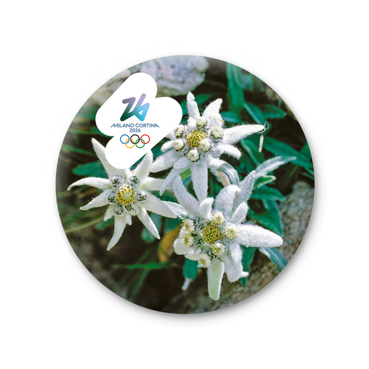 Stella Alpina - Magnete Giochi Olimpici Invernali