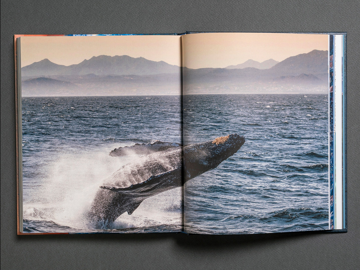 Baja California Península