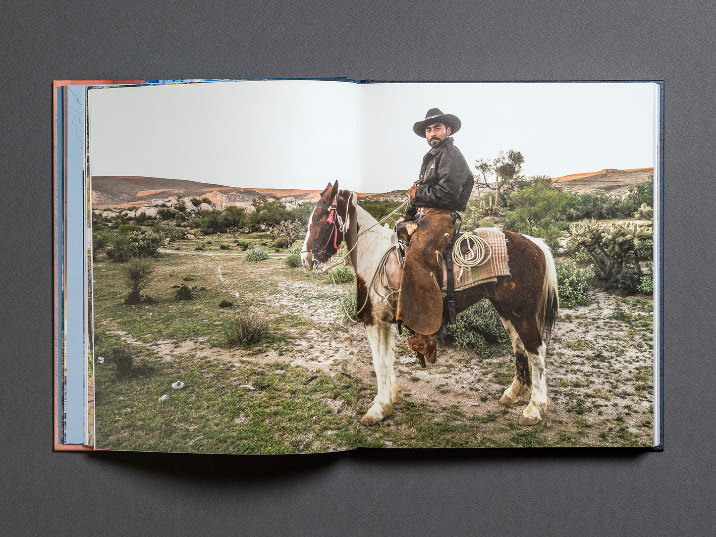 Baja California Península