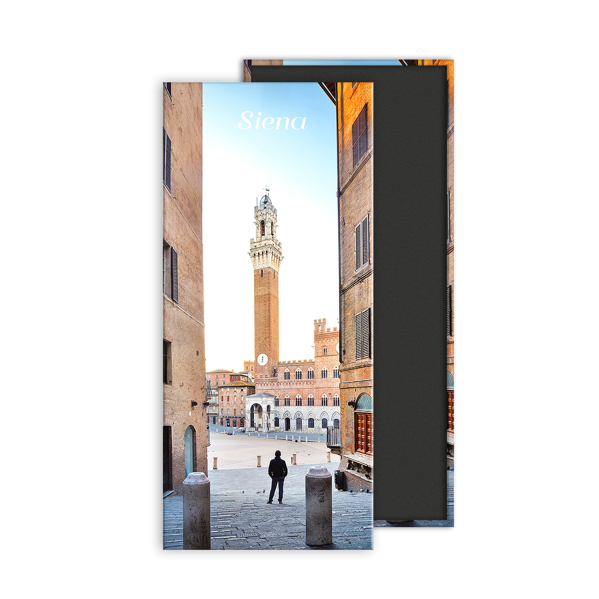 Calamita panoramica - Toscana, Siena, Piazza del Campo