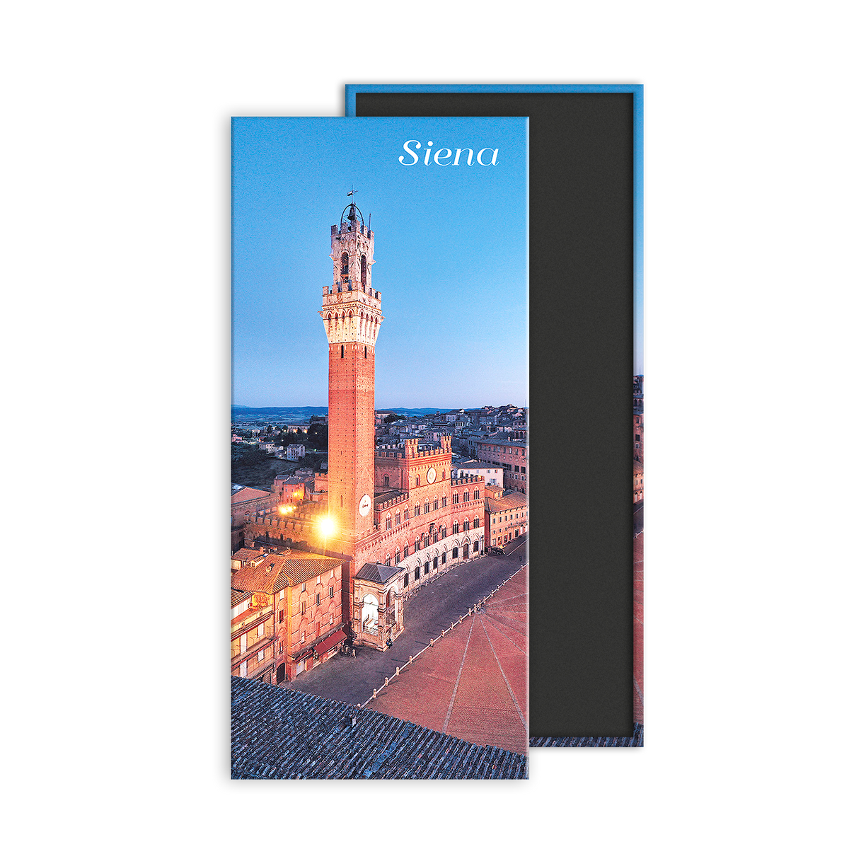 Calamita panoramica - Toscana, Siena, Piazza del Campo