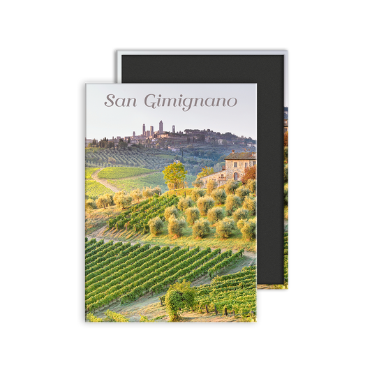 Calamita Rettangolare - Calamita Rettangolare - Toscana, Vigneti di San Gimignano  - Dimensioni 90x65mm