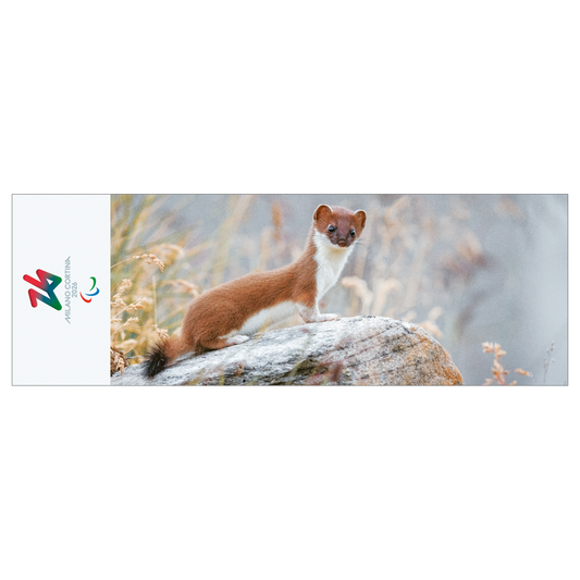 Ermellino - Segnalibro Giochi Paralimpici Invernali