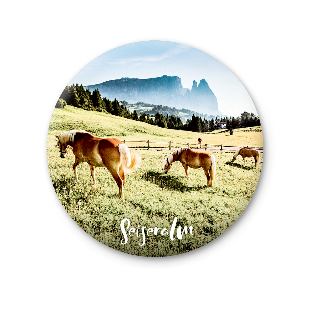 75 MT 131 - Alpe di Siusi, horses