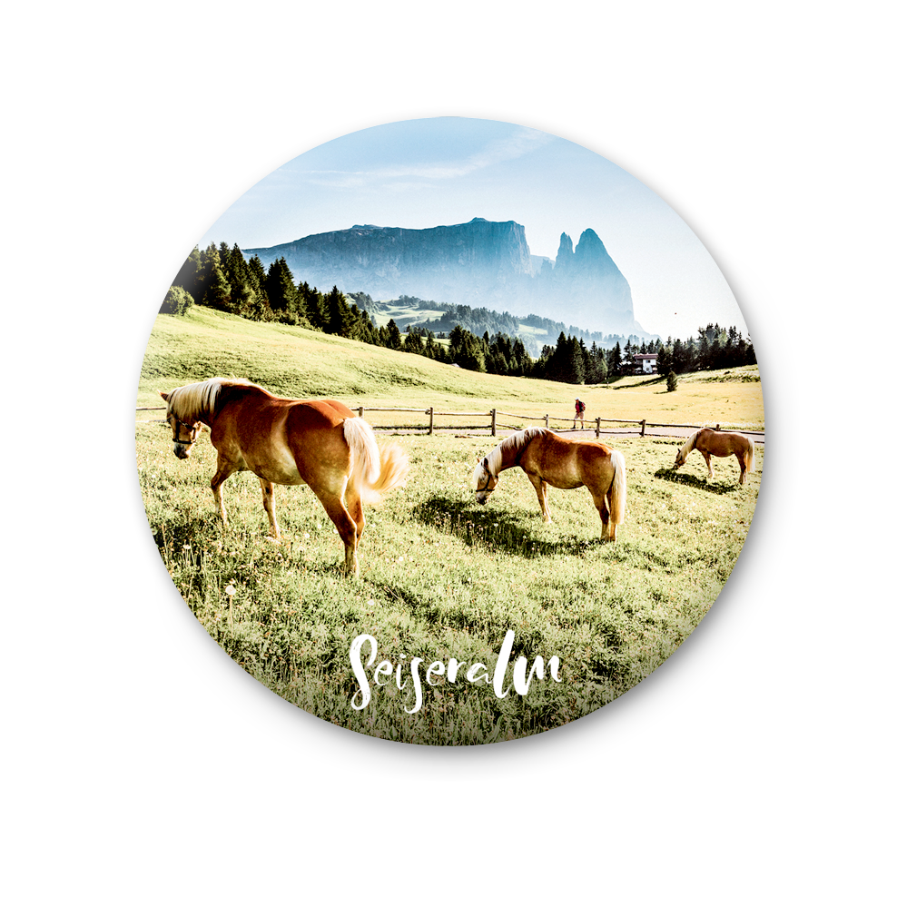 75 MT 131 - Alpe di Siusi, cavalli