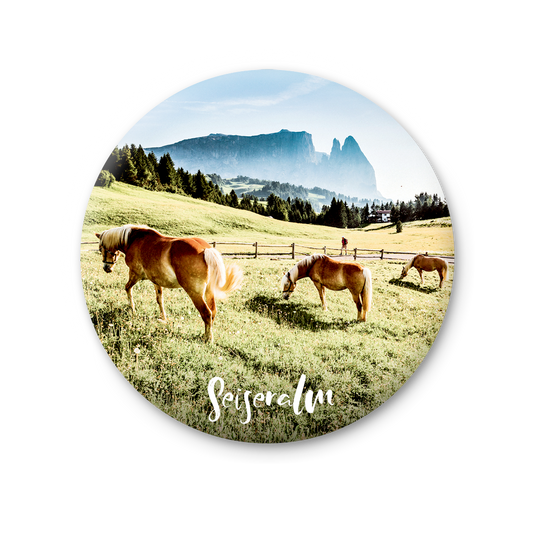 75 MT 131 - Alpe di Siusi, cavalli