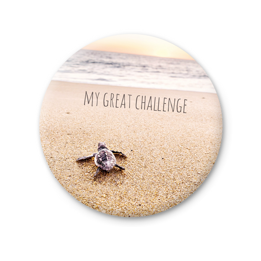 76 MT 043 - My great challenge