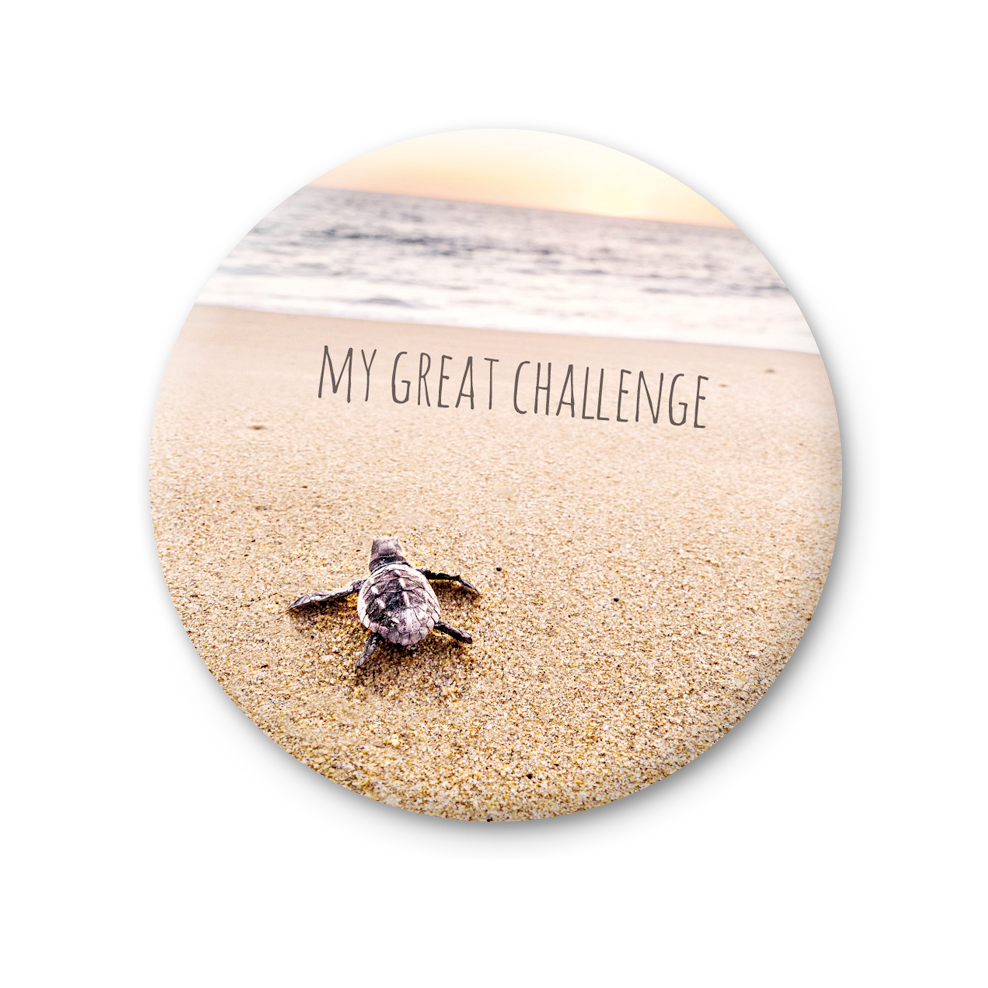 76 MT 043 - My great challenge