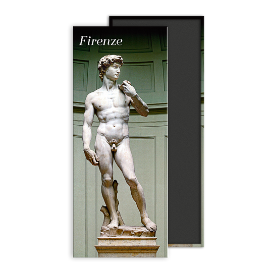 FI M 002 - Firenze, David