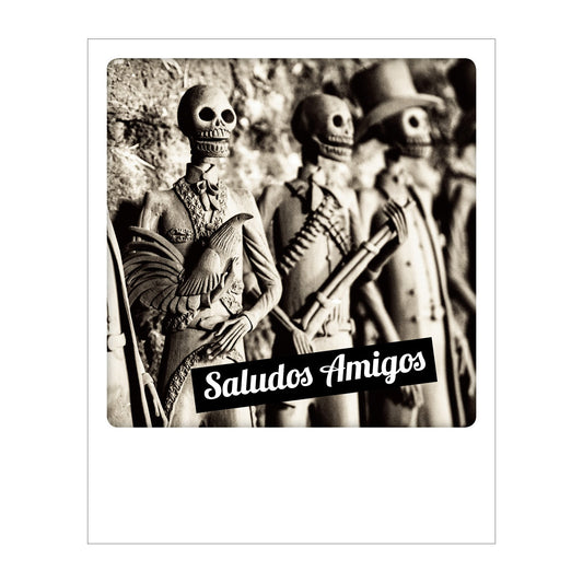 Polaroid Postcard, Sime © Natalino Russo / Saludos Amigos