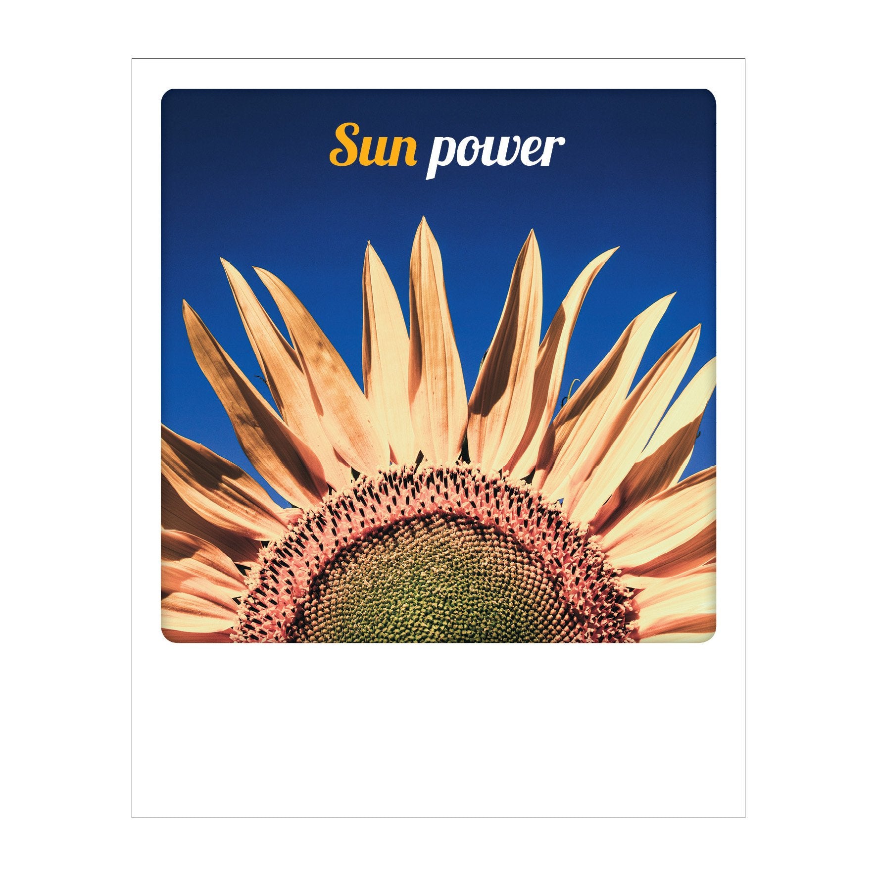 Polaroid Postcard, Sime © Giovanni Simeone / Sun Power