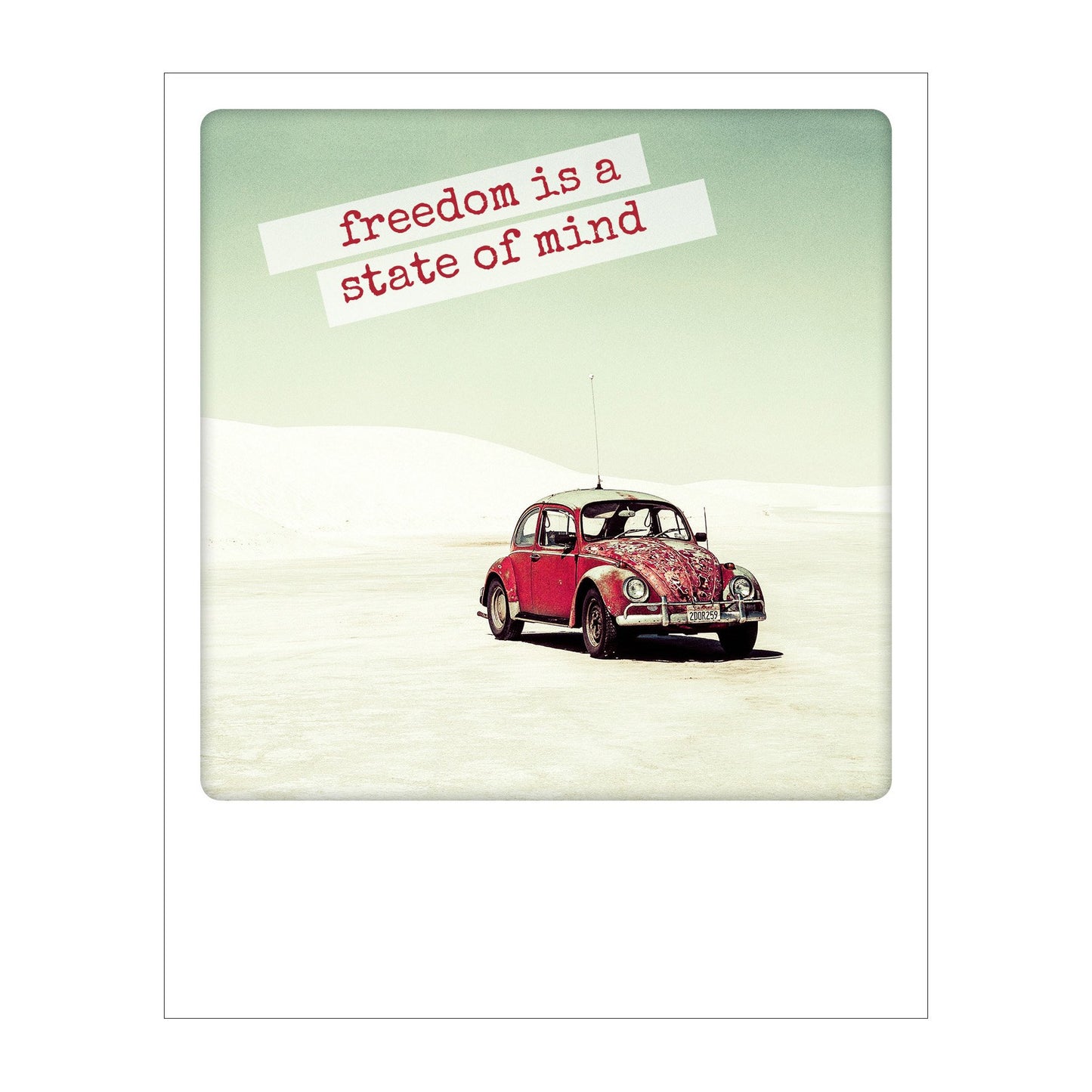 Polaroid Postcard, Sime © Jonathan Scott / Freedom is a state of mind