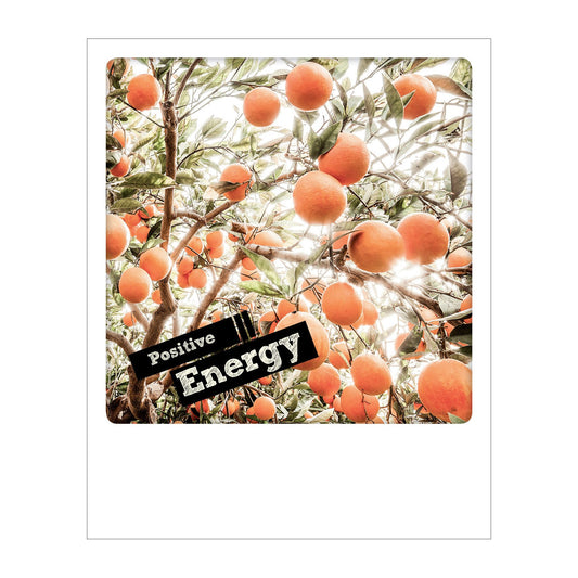 Polaroid Postcard, Sime © Alessandro Saffo / Positive Energy