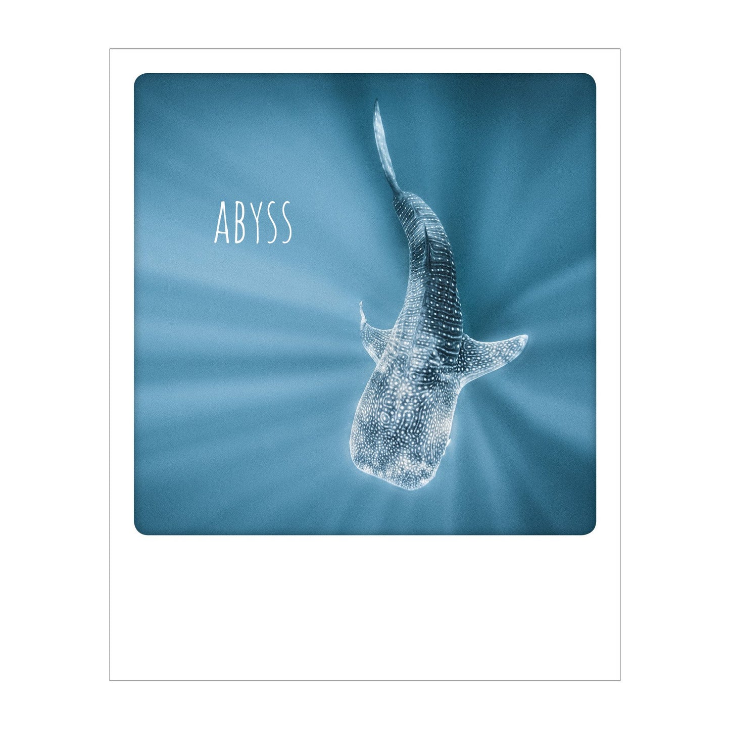 Polaroid Postcard, Sime © Carlos Aguilera / Abyss