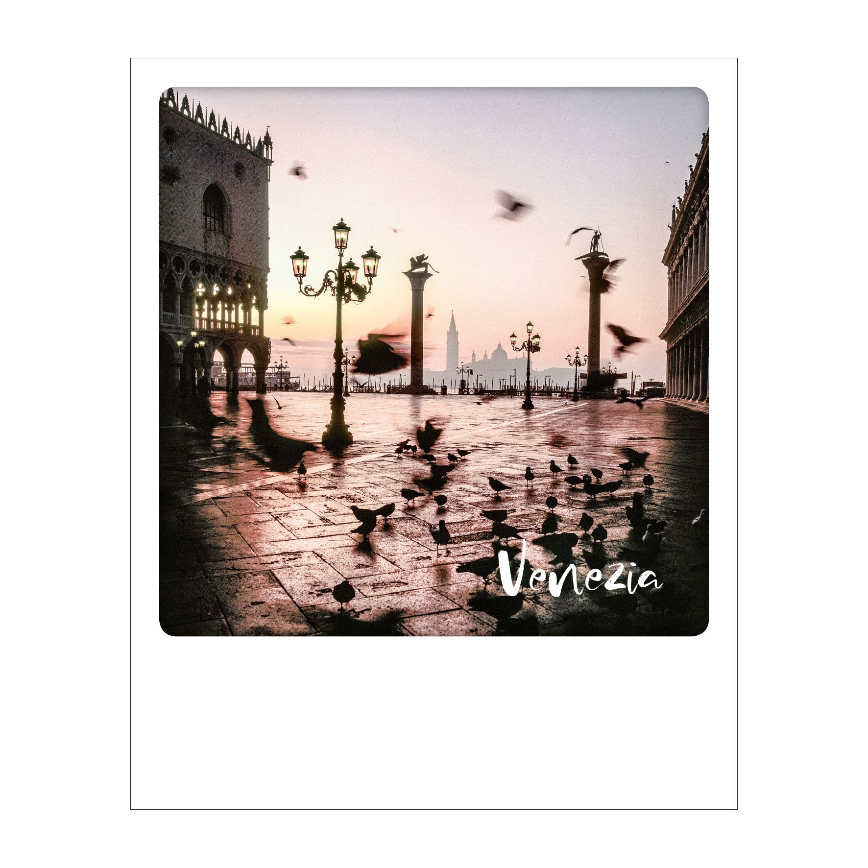 Polaroid Postcard, Sime © Johanna Huber / Venezia