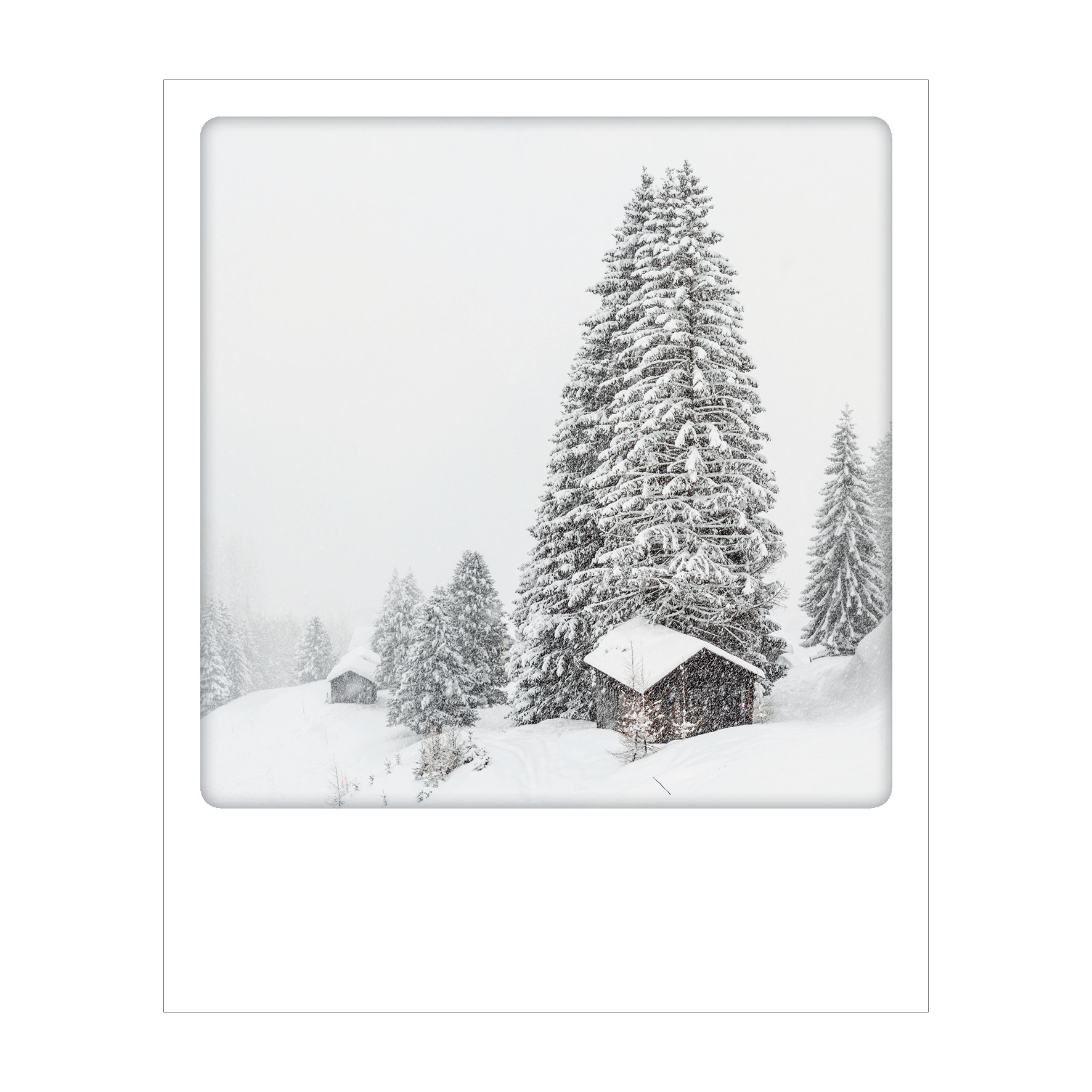 Dolomiti - Polaroid Postcard | Gadget Simebooks
